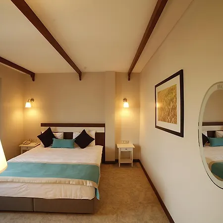 Hotel Milestone1915 *