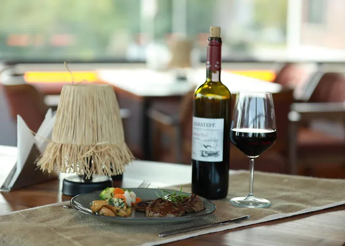 ホテル Milestone1915 ゲリボル