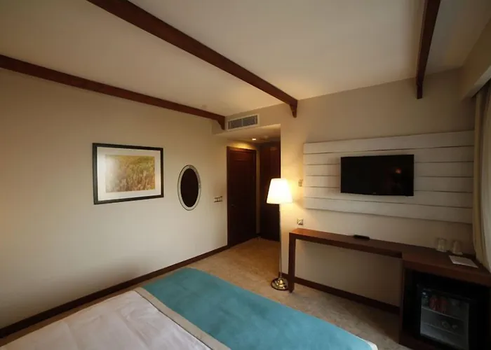 Milestone1915 גאליפולי