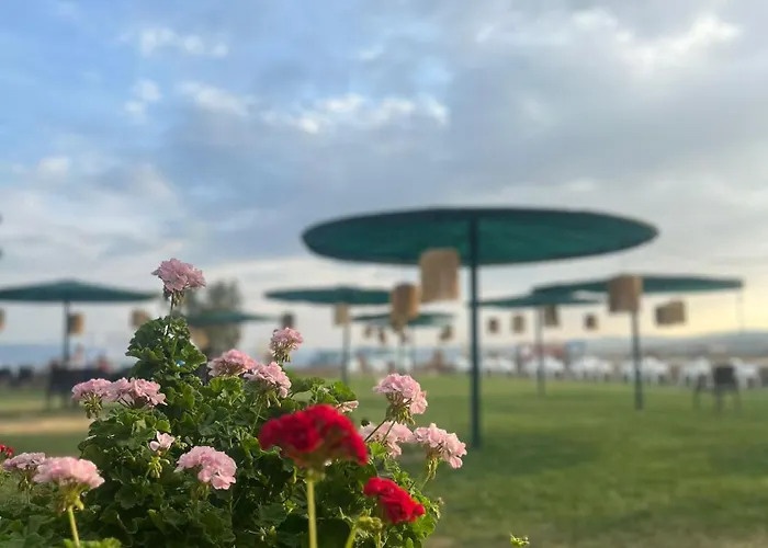 Milestone1915 ゲリボル