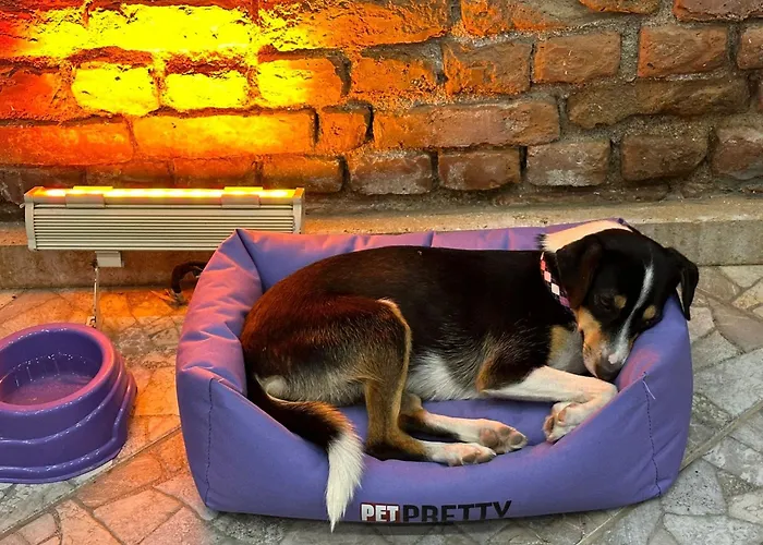 מלון Milestone1915 גאליפולי