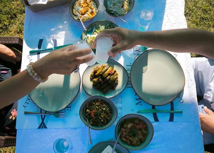 Milestone1915 גאליפולי